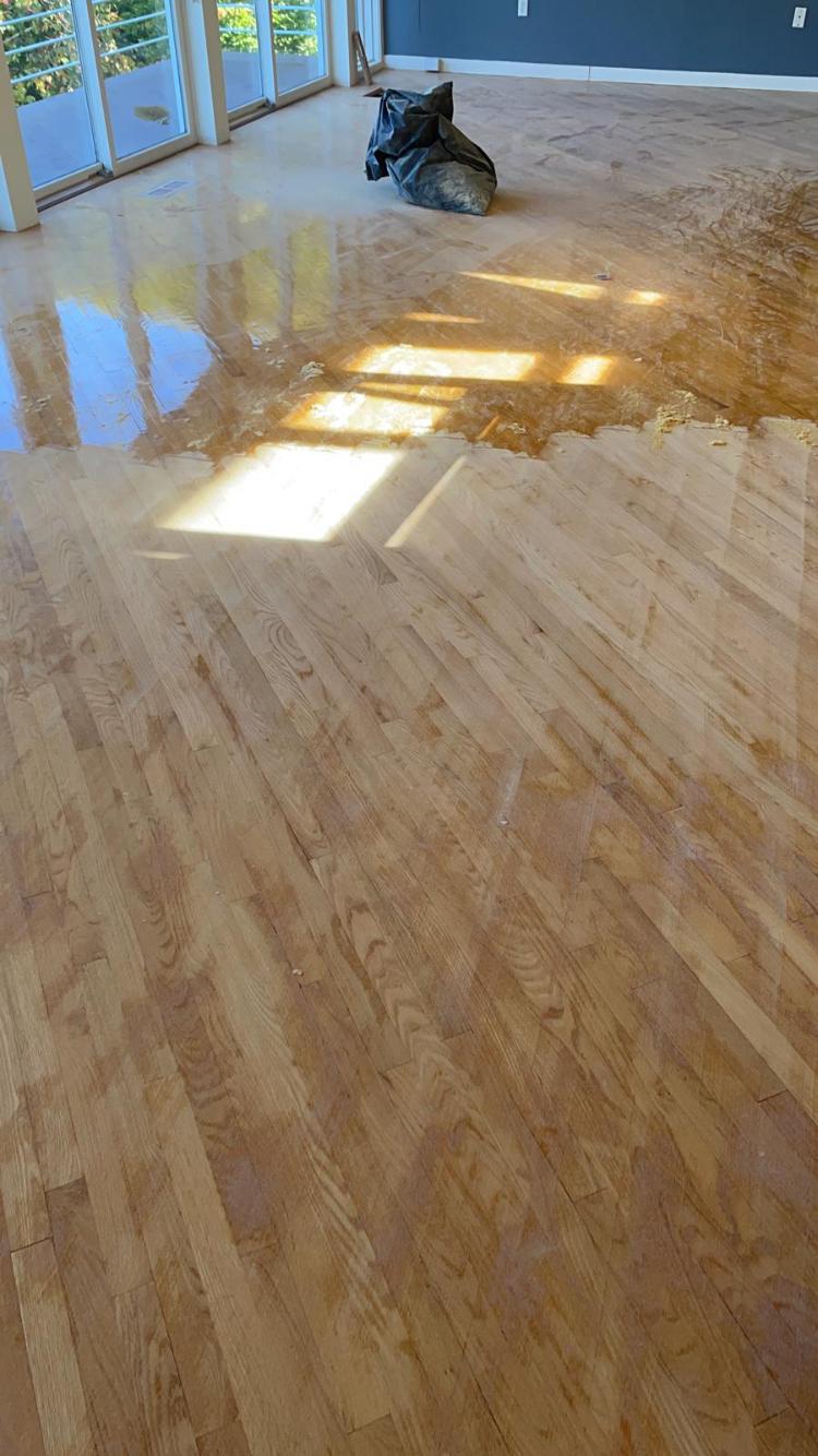 hardwood project 5